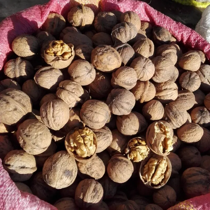 گردو|خوردنی و آشامیدنی|گالیکش, |دیوار