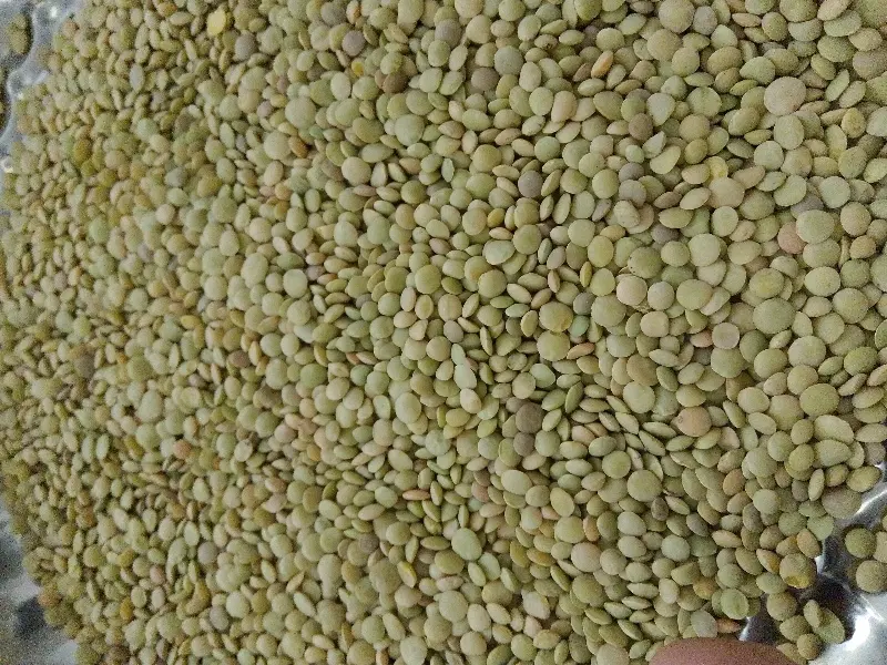 عدس|خوردنی و آشامیدنی|نمین, |دیوار