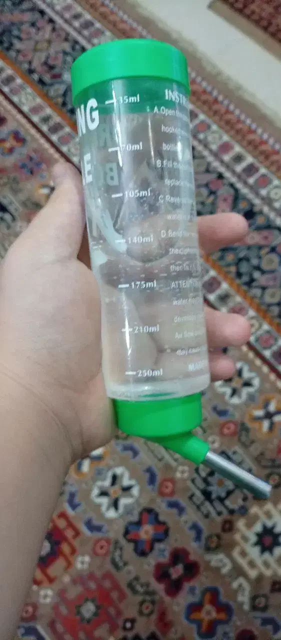 خرگوش|موش و خرگوش|رشت, باهنر|دیوار