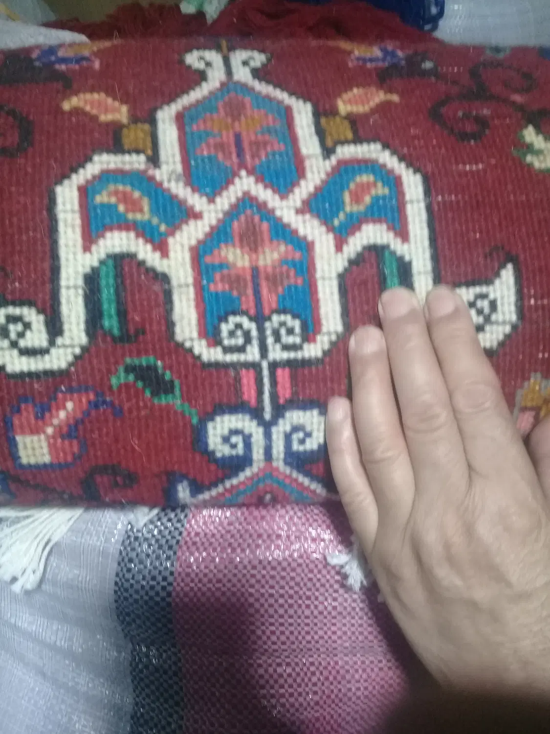 زرنیم|فرش|تبریز, |دیوار