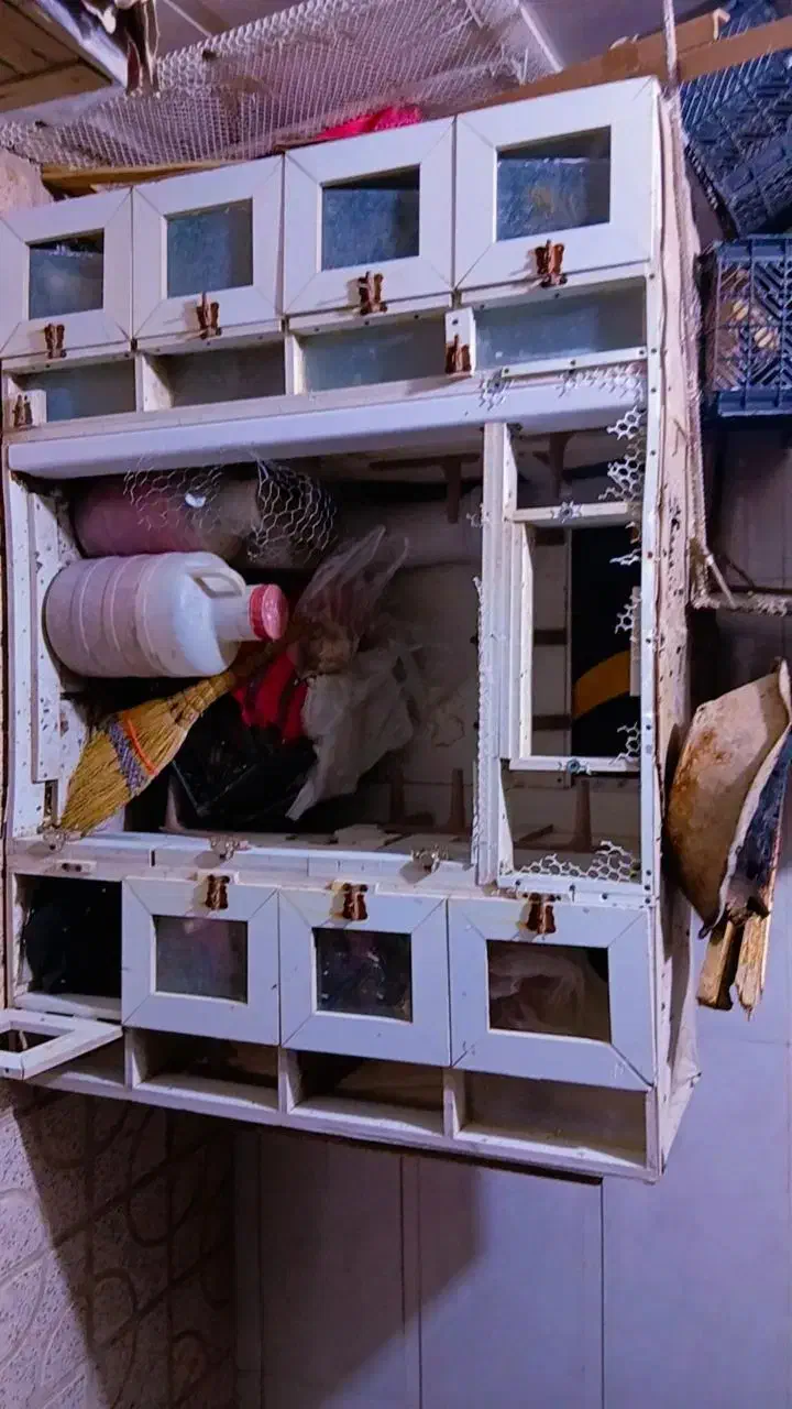 قفس|لوازم جانبی حیوانات|نیشابور, سرآب کوشک|دیوار