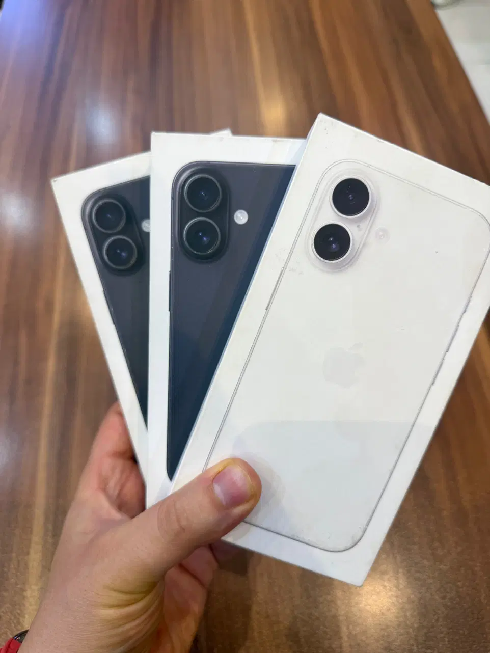 iphone 16 normal|موبایل|بررود, |دیوار
