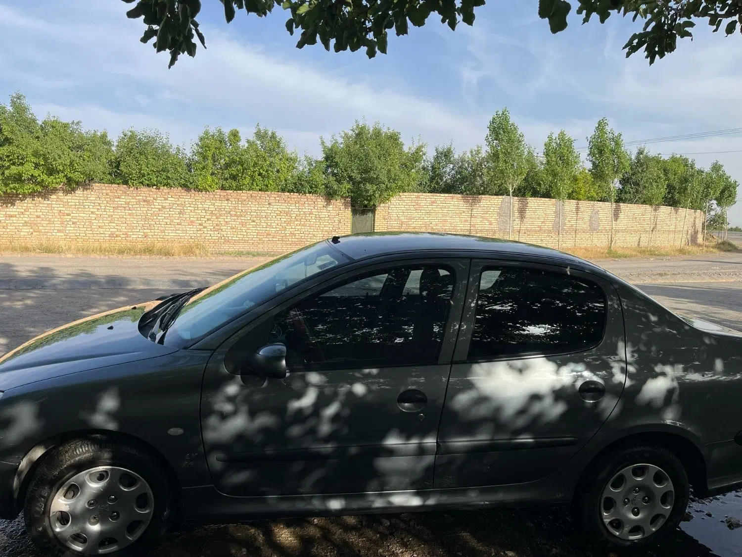 206 sd|خودرو سواری و وانت|نیشابور, فضل|دیوار
