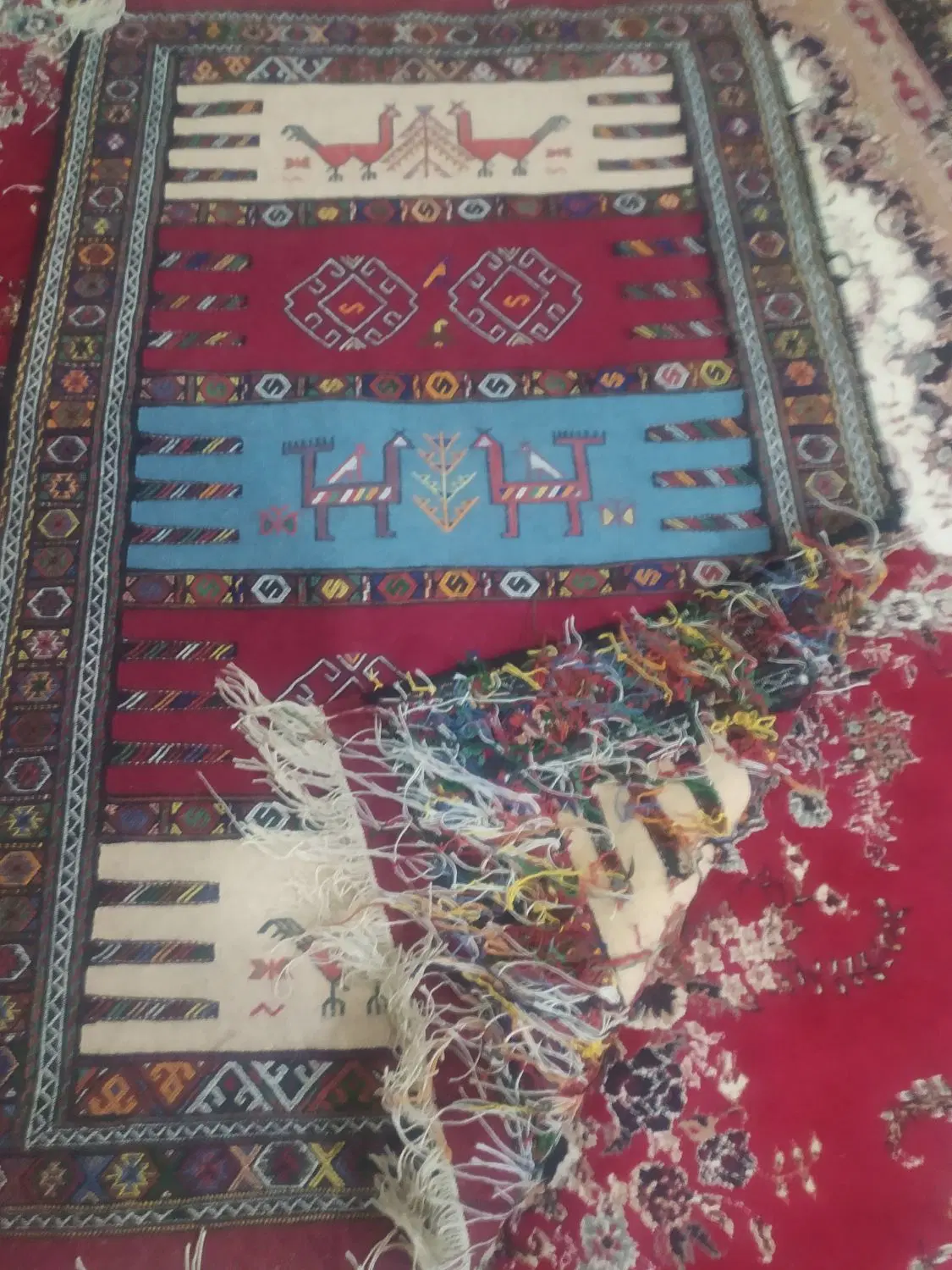 گلیم کردی|گلیم، جاجیم، گبه|بجنورد, |دیوار