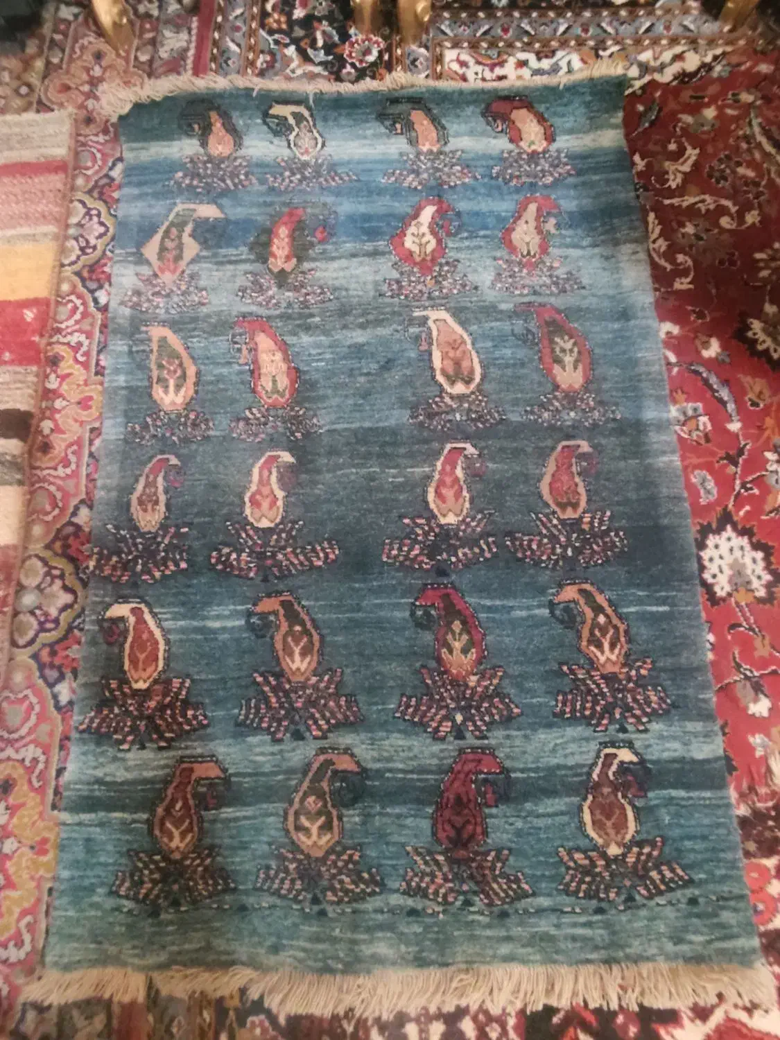 تعدادی گبه ۴ تومن هرتخته|گلیم، جاجیم، گبه|شیراز, شاه قلی بیگی|دیوار