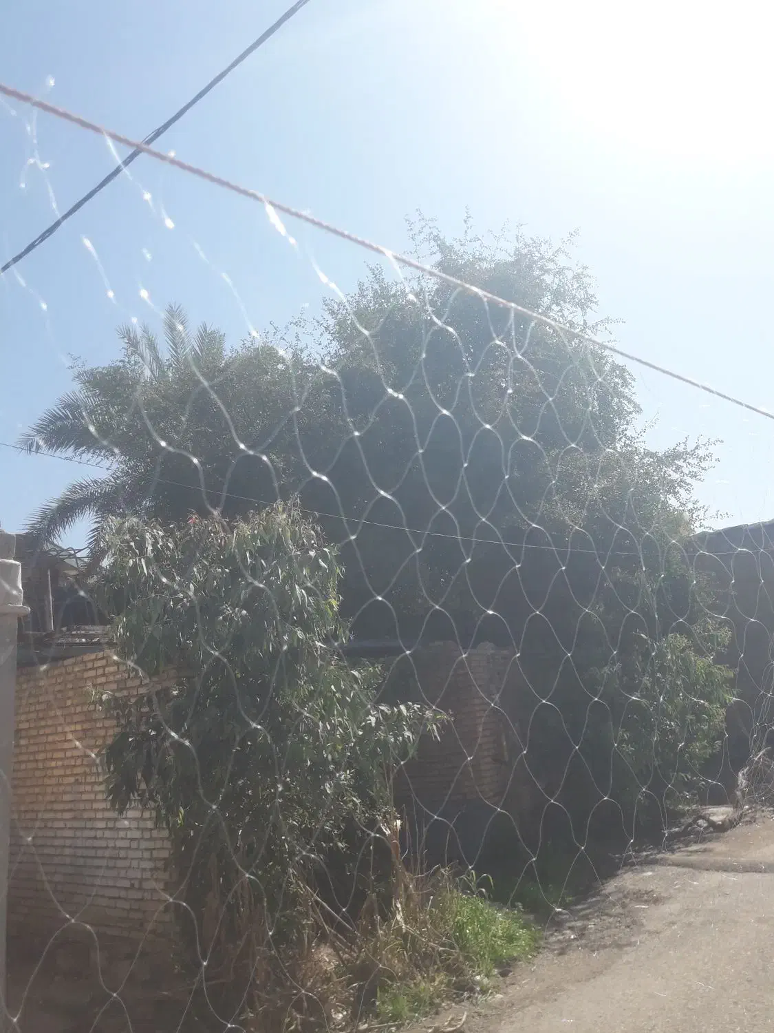 تور ماهی|ماهیگیری|مسجد سلیمان, |دیوار