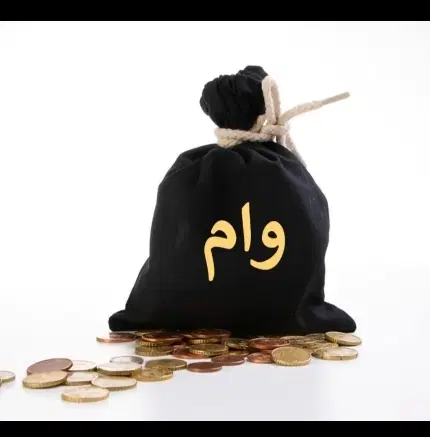 ضامن|خدمات مالی، حسابداری، بیمه|تربت جام, المهدی|دیوار