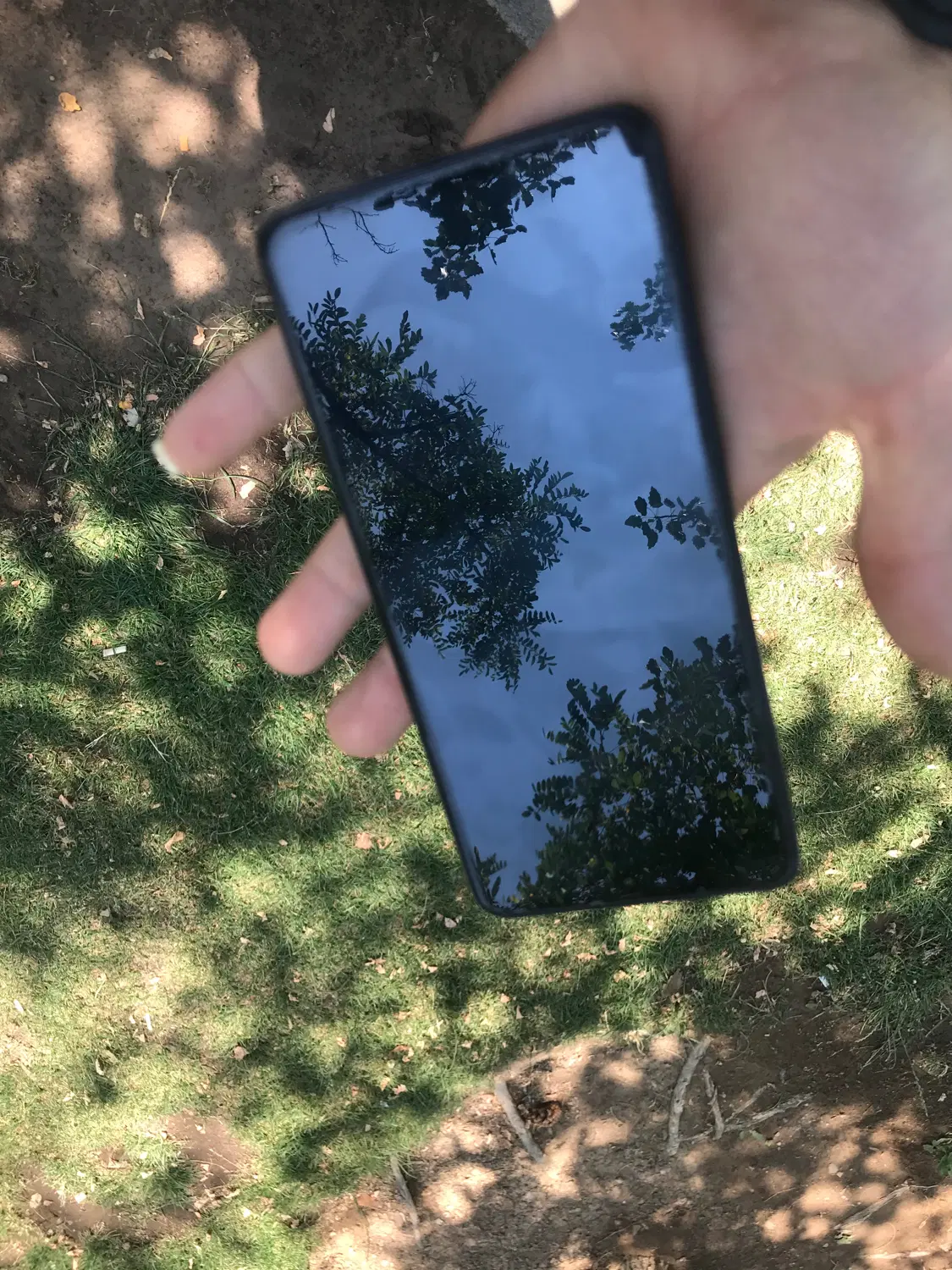 Note 14 256g|موبایل|تبریز, |دیوار