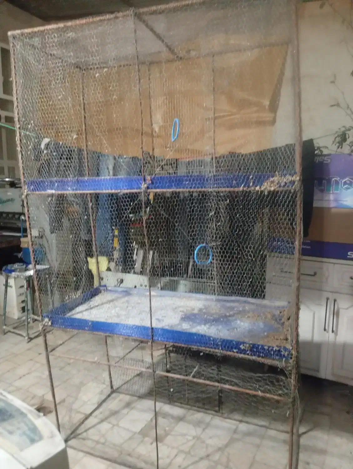 قفس|لوازم جانبی حیوانات|اردکان, |دیوار