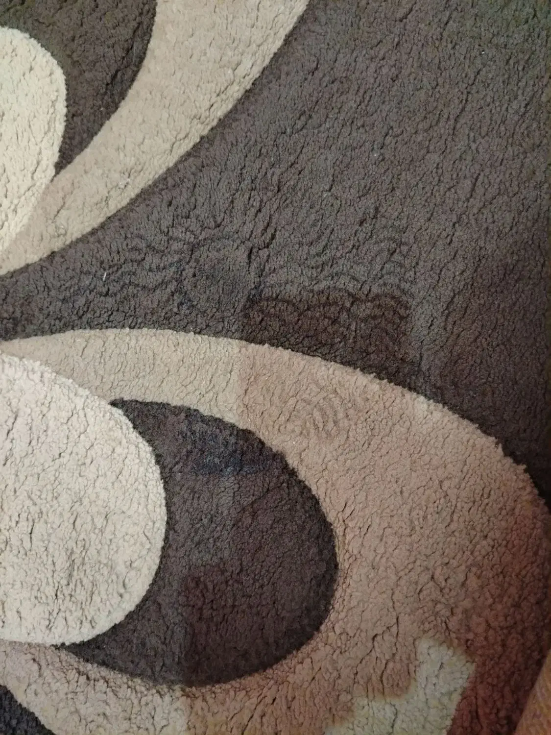 گلیم|گلیم، جاجیم، گبه|گلبهار, شهر جدید گلبهار|دیوار