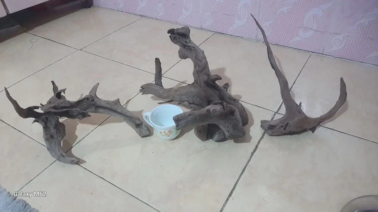 چوب آبنوس|ماهی|محمدیه-قزوین, |دیوار