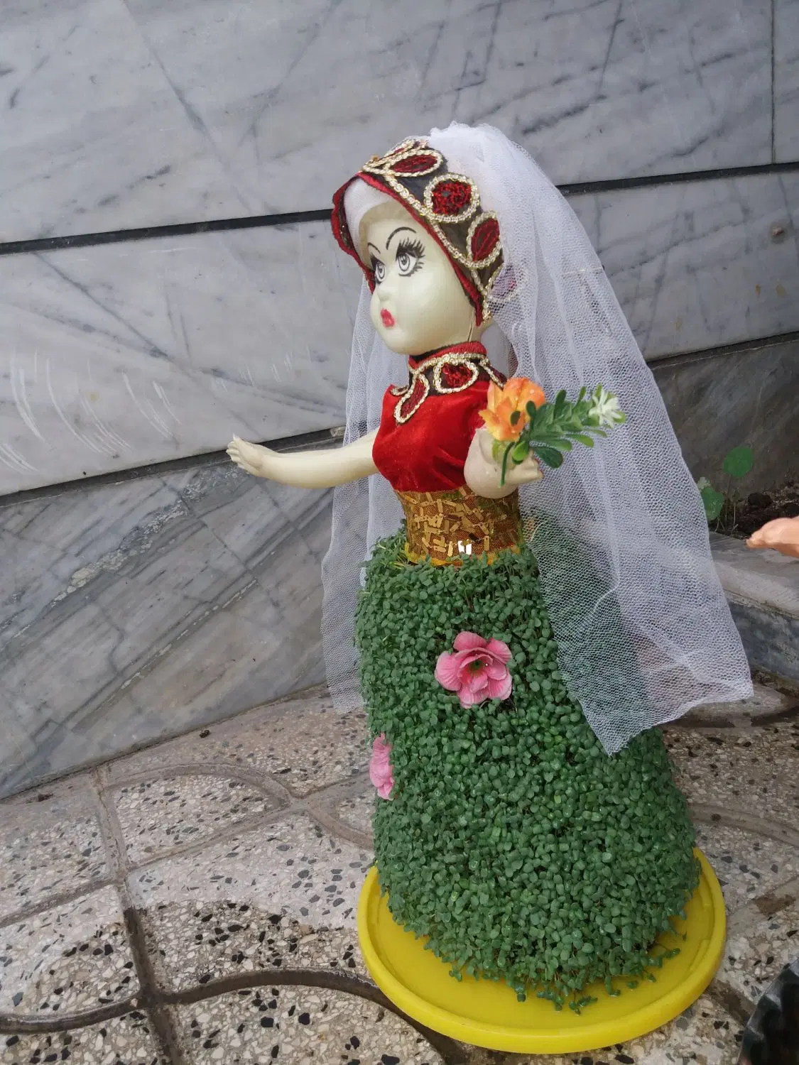 سبزه|گل و گیاه طبیعی|بروجرد, |دیوار