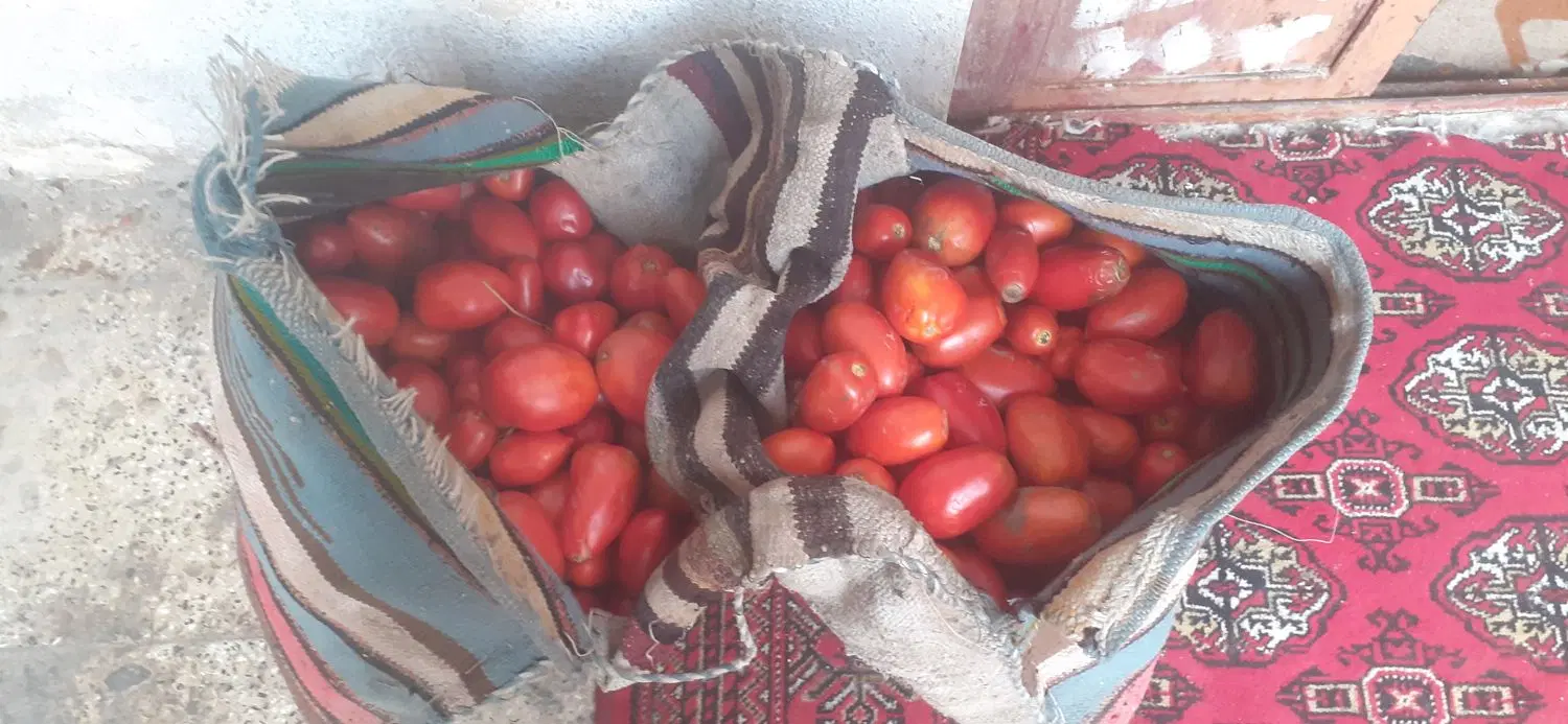 گرجه|خوردنی و آشامیدنی|فاضل آباد, |دیوار