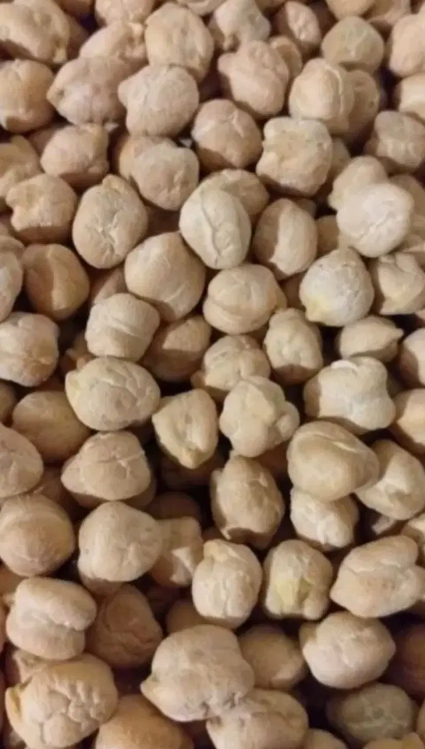 نخود|خوردنی و آشامیدنی|سریش آباد, |دیوار