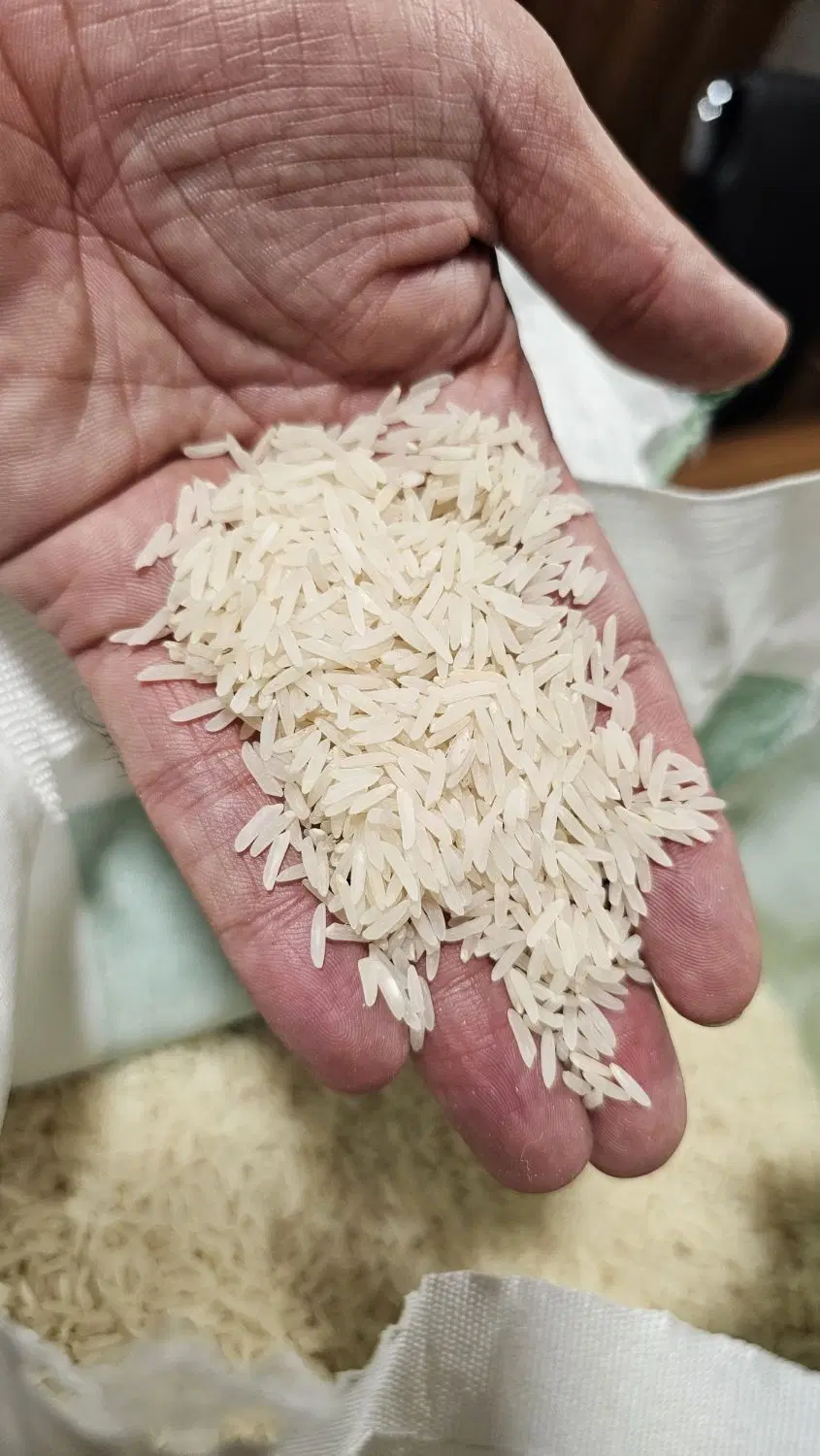 برنج فجر گرگان خالص|خوردنی و آشامیدنی|تهران, مولوی|دیوار