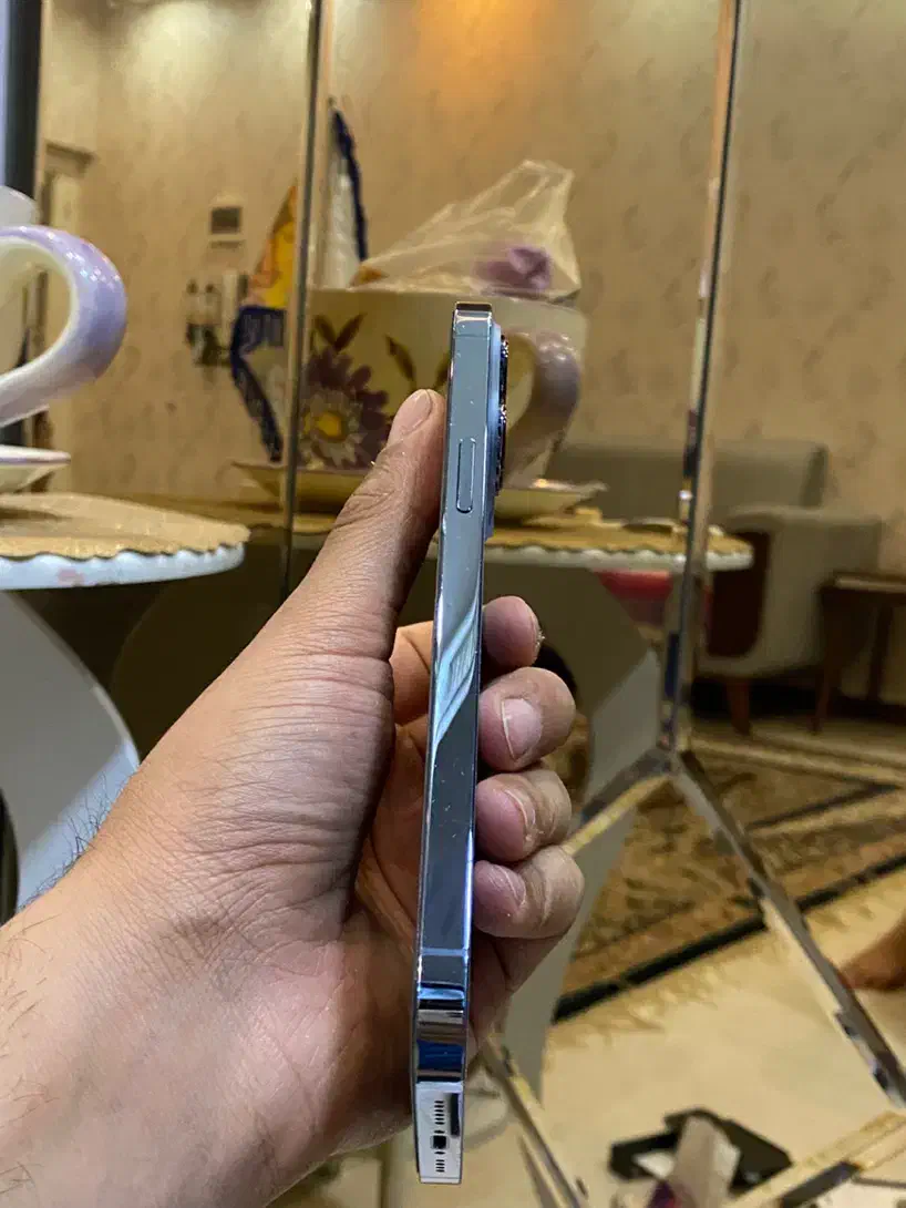 iphone 13 pro max|موبایل|تربت‌حیدریه, میدان مرکزی|دیوار