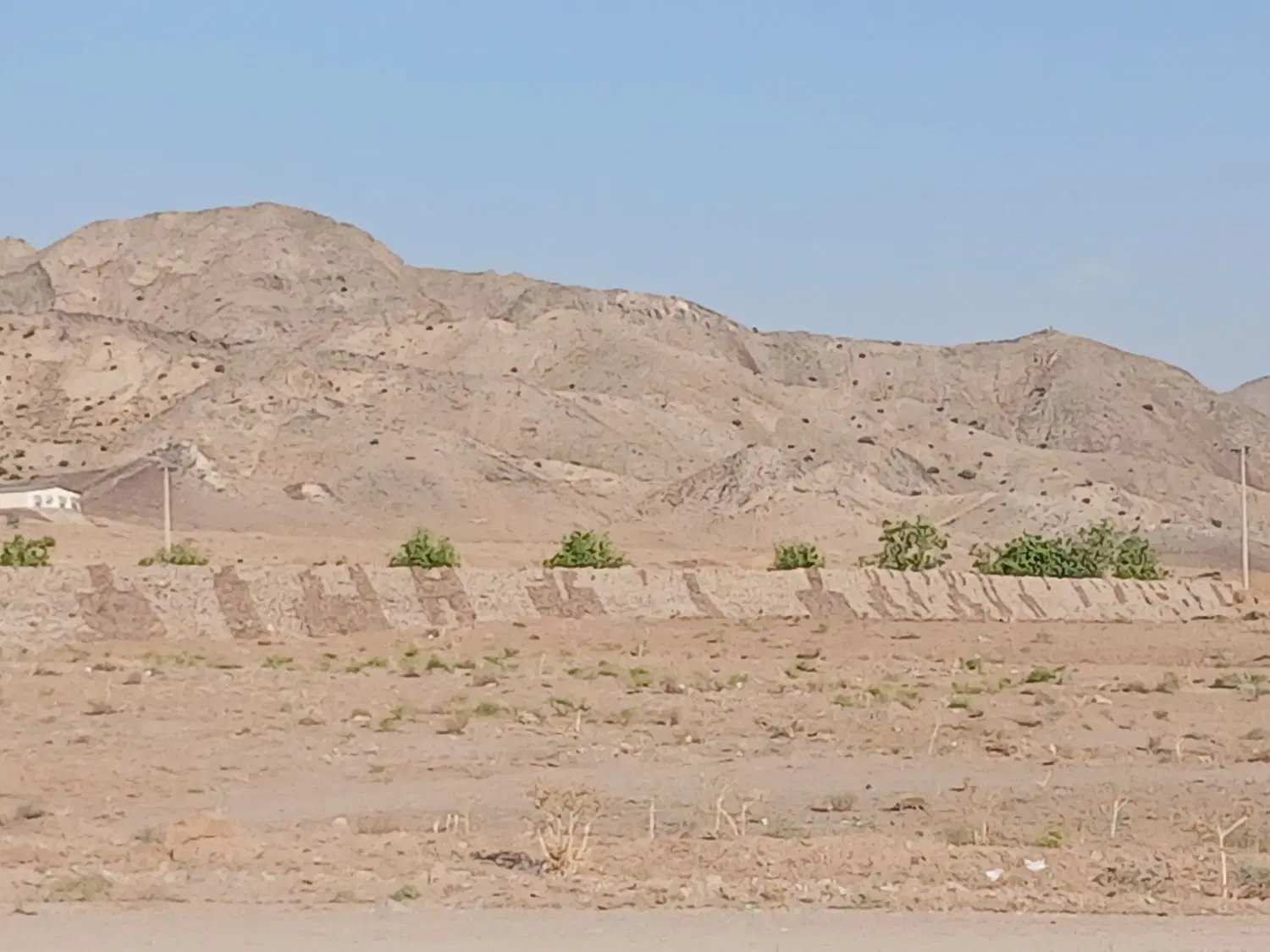 تصویر 2