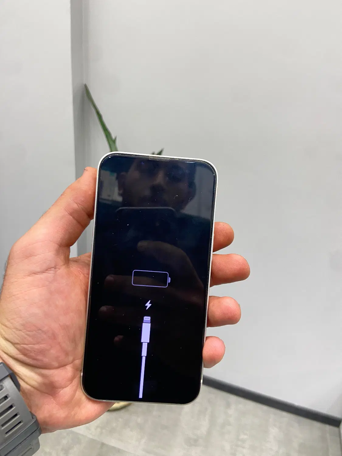 iphone 13 normal|موبایل|تهران, تهرانپارس جنوبی|دیوار