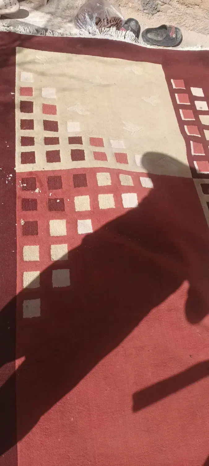 فرش تمیزن|فرش|دلیجان, |دیوار