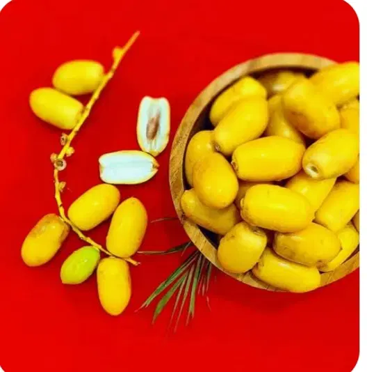 خارک|خوردنی و آشامیدنی|آبپخش, |دیوار