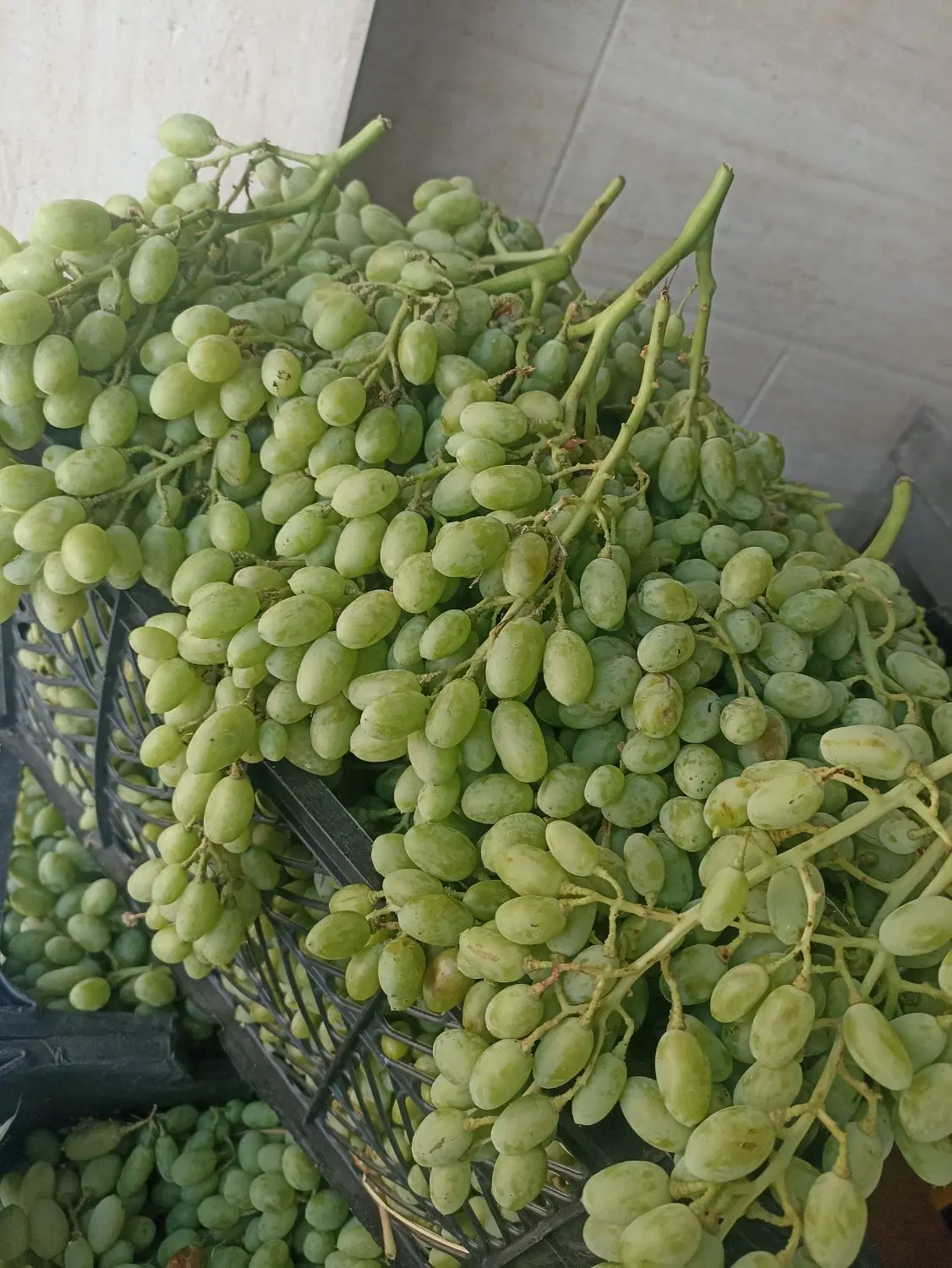 غوره|خوردنی و آشامیدنی|قم, قلعه کامکار|دیوار