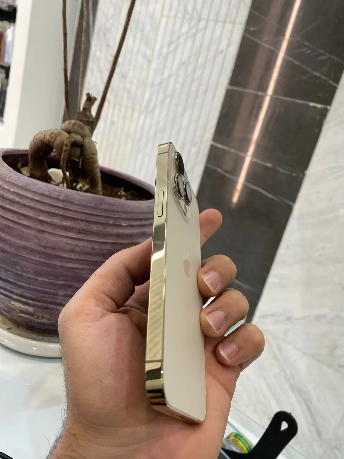 iPhone 13pro|موبایل|تهران, جلیلی|دیوار