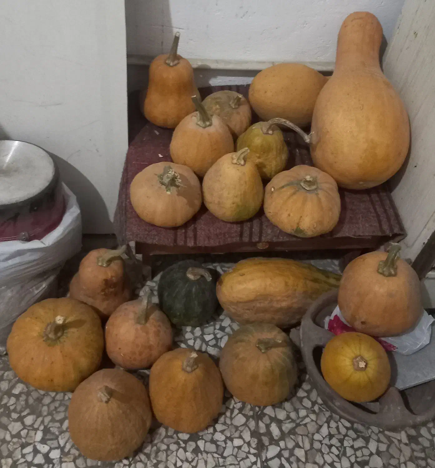 کدو|خوردنی و آشامیدنی|رشت, کوی حسینی|دیوار