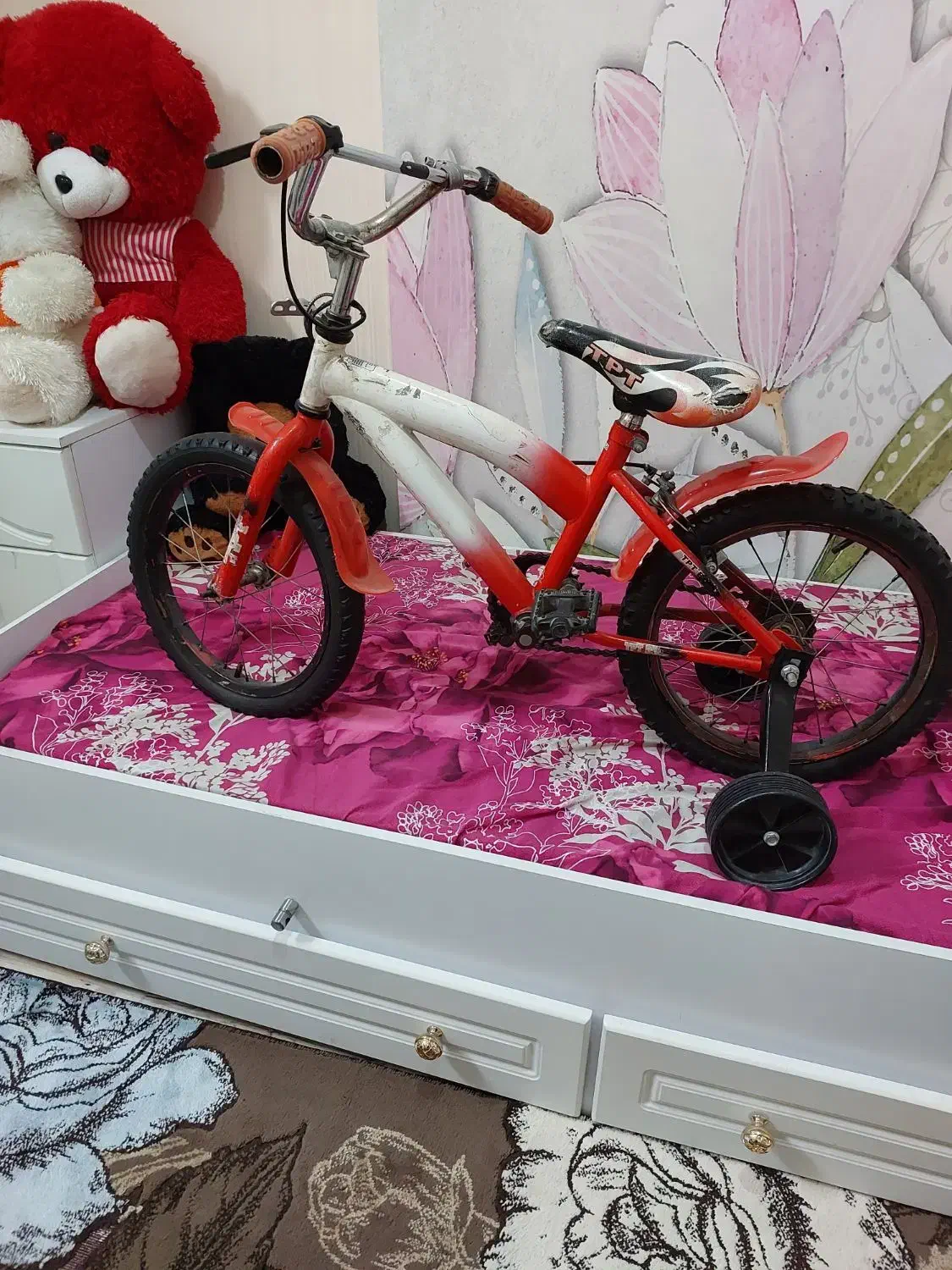 دوچرخه|دوچرخه، اسکیت، اسکوتر|رشت, عینک|دیوار