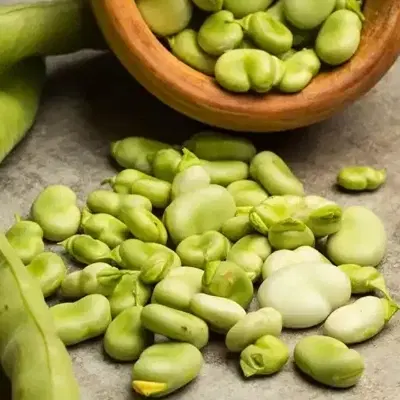 باقلا|خوردنی و آشامیدنی|گرگان, |دیوار