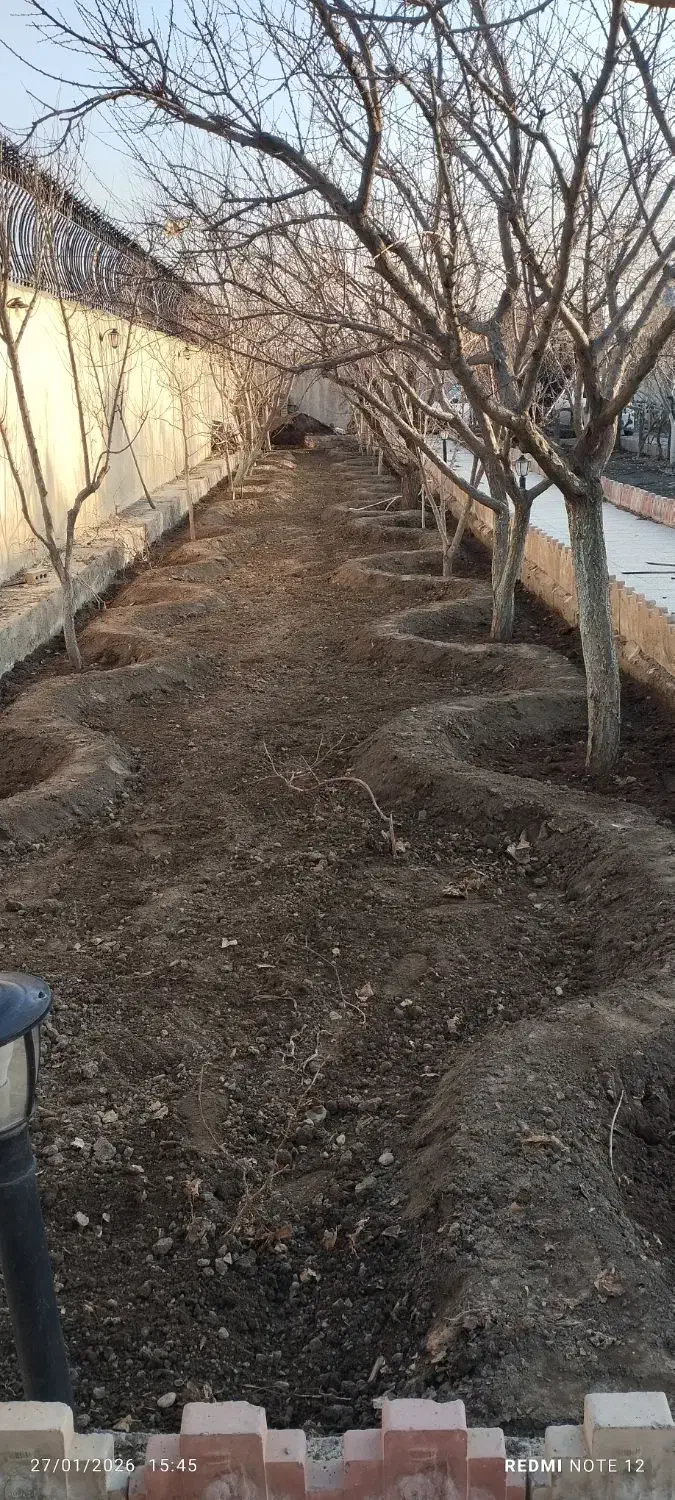 باغبونی|خدمات باغبانی و درختکاری|مشهد, کلاته برفی|دیوار