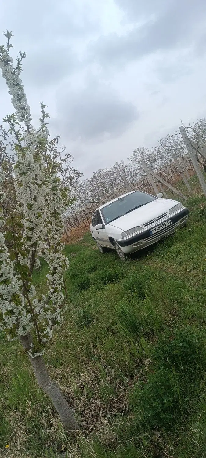 مدل۸۸|خودرو کلاسیک|ارومیه, |دیوار