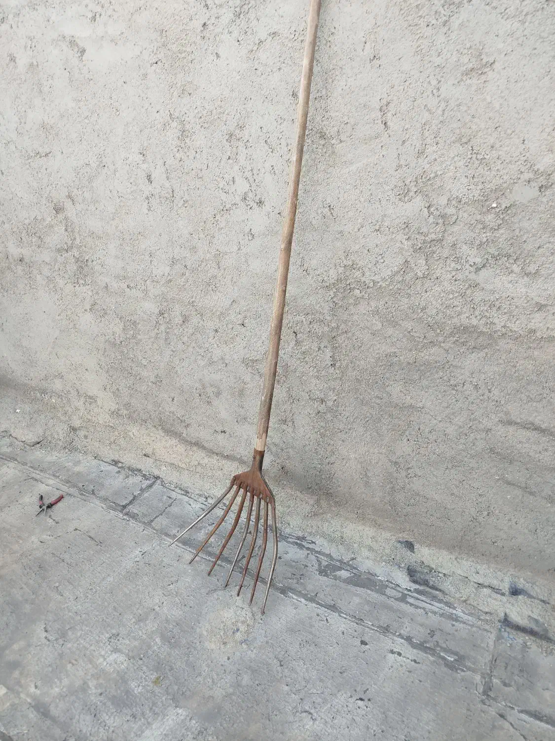 یاوا|حراج|همدان, |دیوار