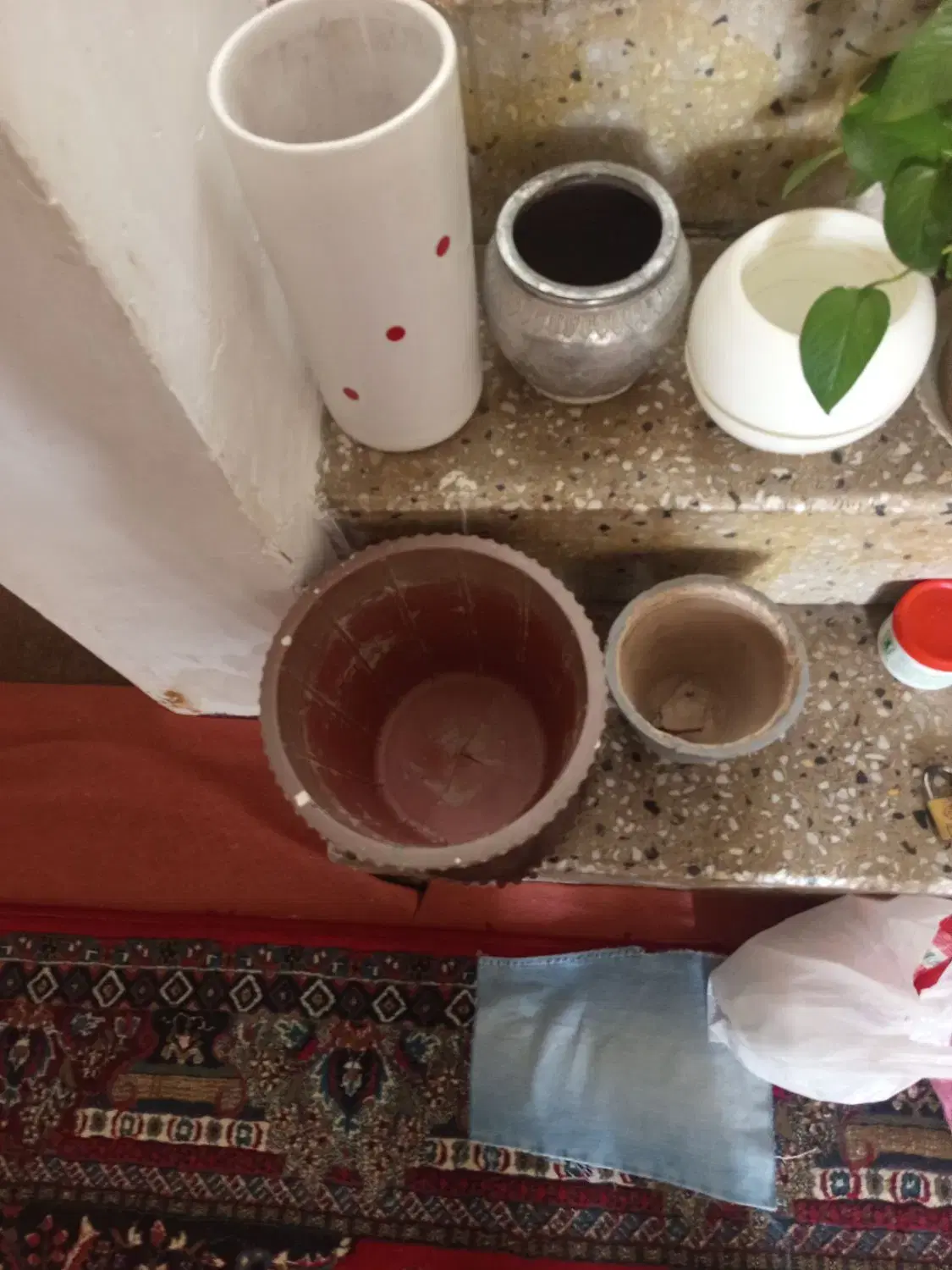 گلدون|گل و گیاه طبیعی|بروجرد, |دیوار