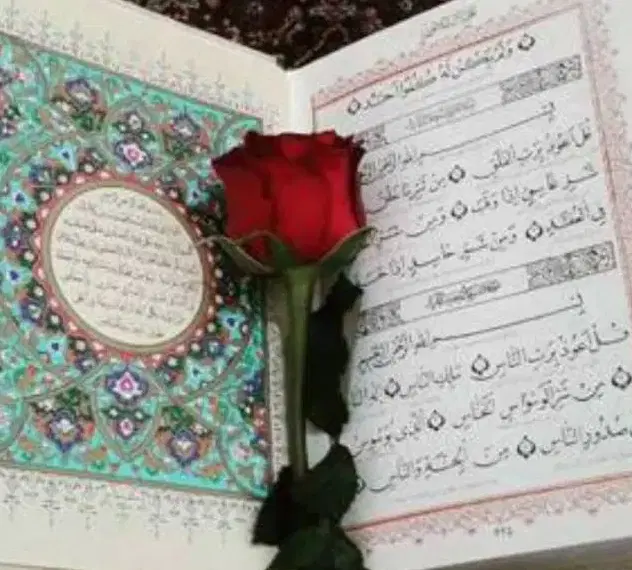 سرکتاب|کتاب و مجله مذهبی|تهران, الهیه|دیوار