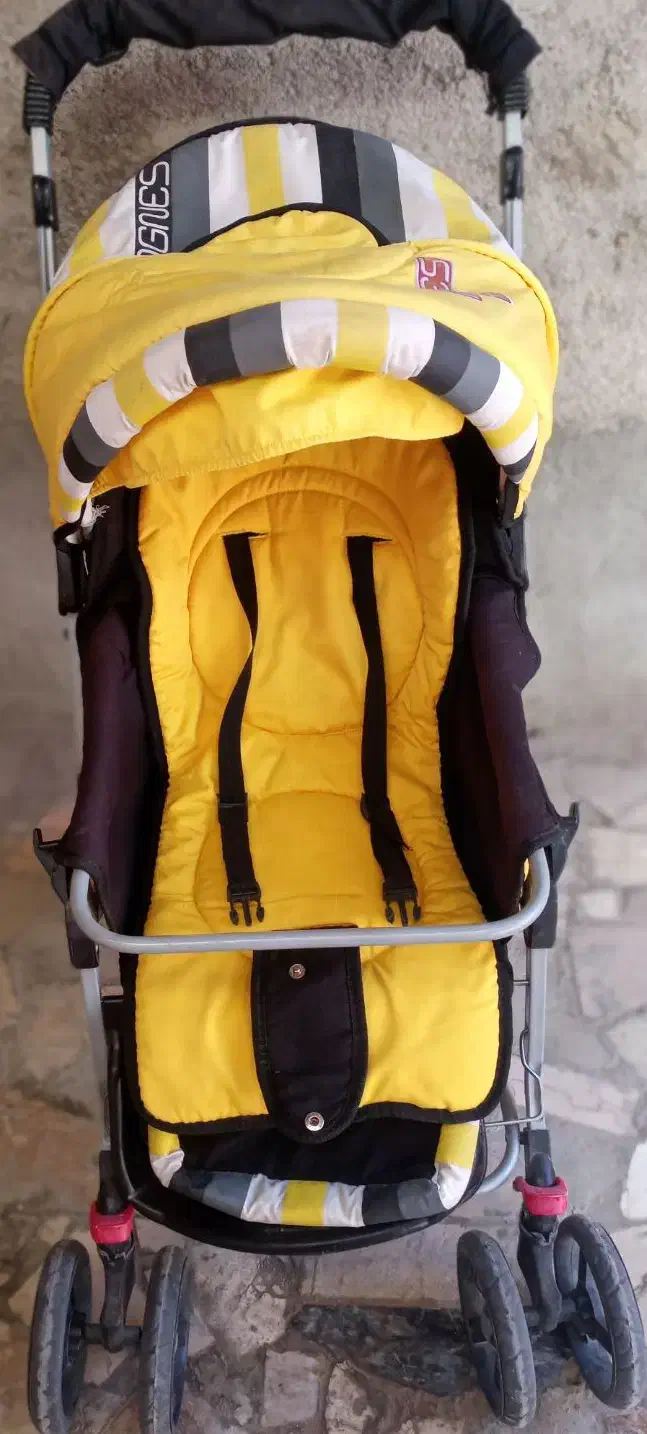 کالسکه|کالسکه و لوازم جانبی|نیشابور, رحمت آباد|دیوار