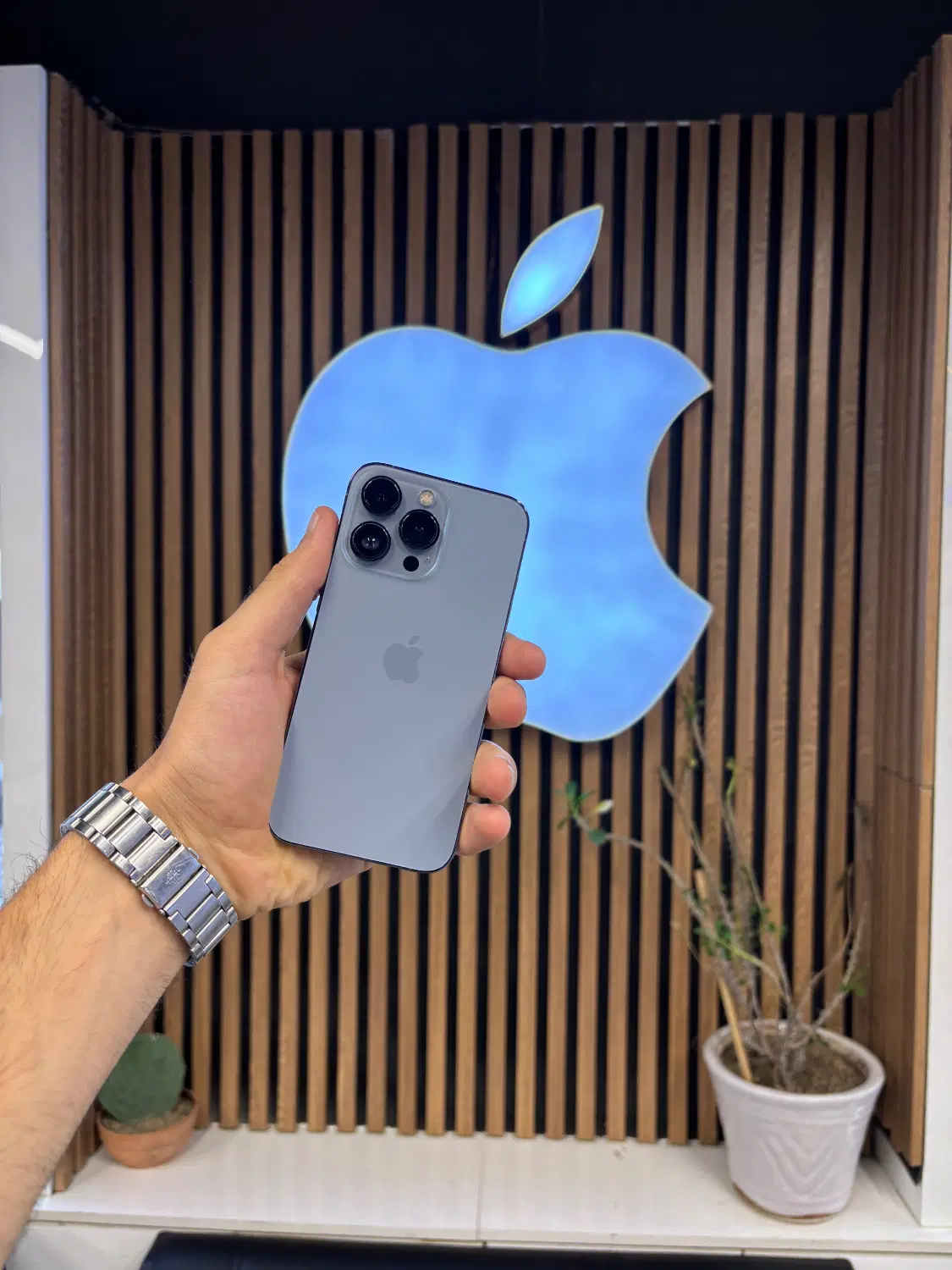 iPhone 13 pro|موبایل|تهران, شیخ هادی|دیوار