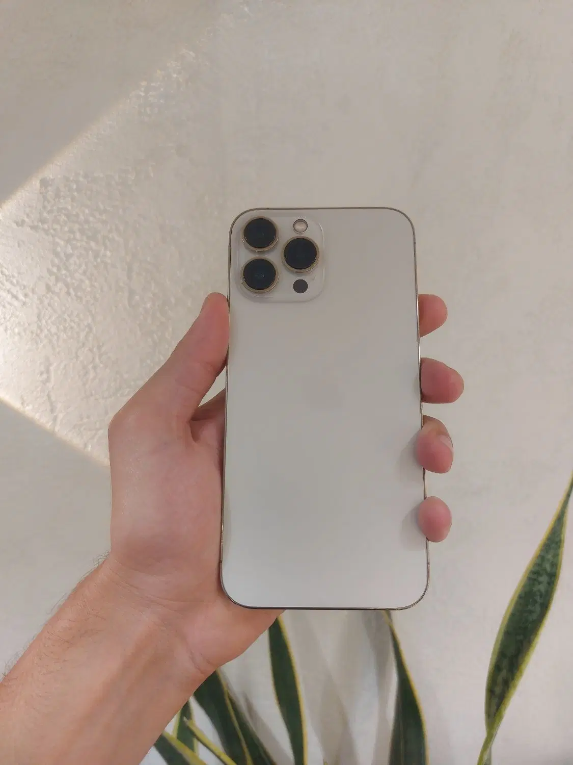 iphone 14 pro max|موبایل|تبریز, |دیوار