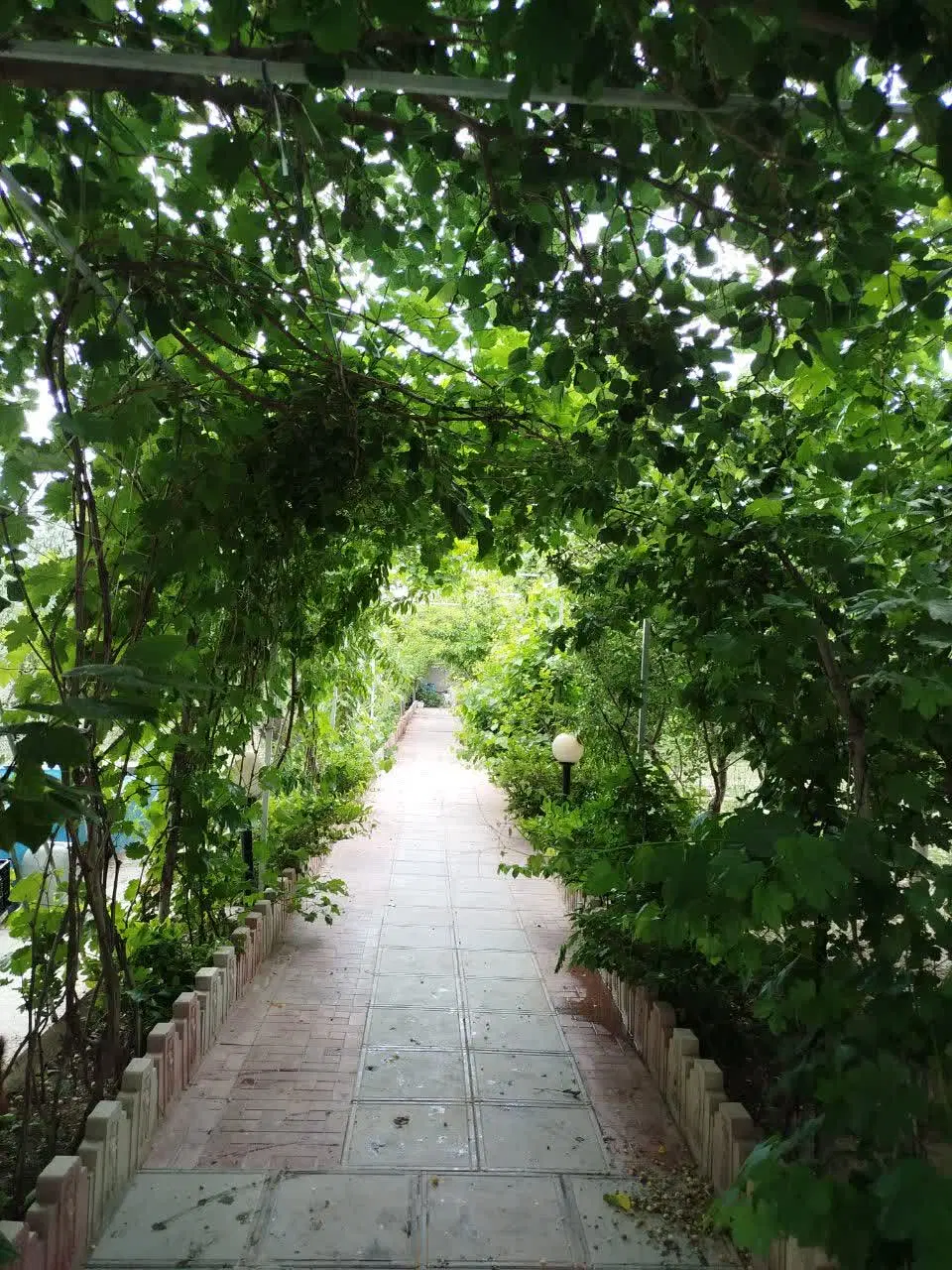 تصویر 17