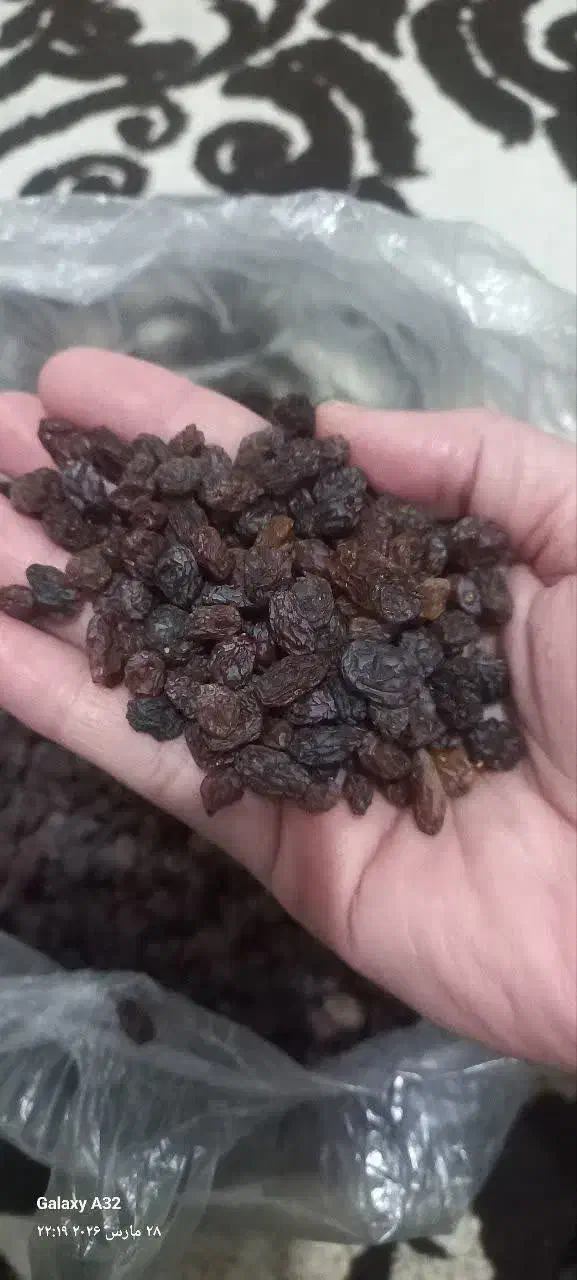 کشمش افتابی پاک شده ودمگیری شده تمیز و شسته شده|خوردنی و آشامیدنی|تاکستان, |دیوار