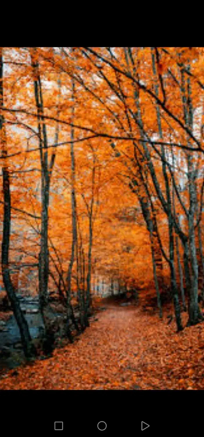 طبیعت گردی|فعالیت داوطلبانه|پاکدشت, پاکدشت (مامازند)|دیوار