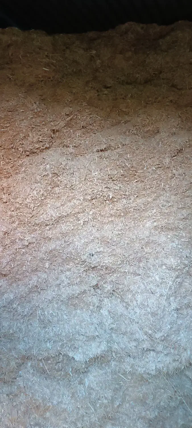 سامان|لوازم جانبی حیوانات|گرمی, |دیوار