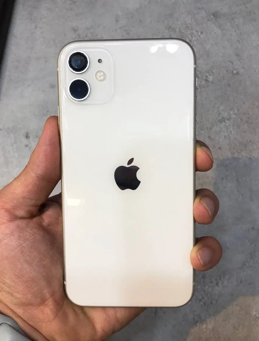 iphone 11 Normal|موبایل|بجنورد, |دیوار