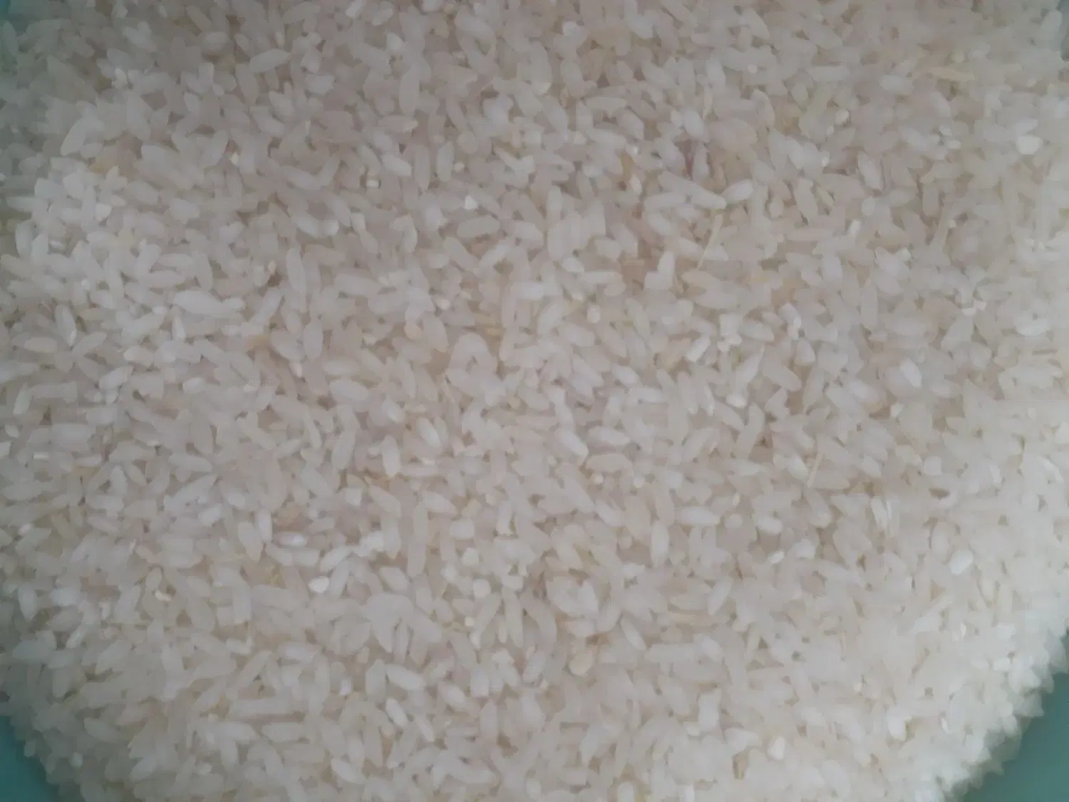 برنج|خوردنی و آشامیدنی|باغ ملک, |دیوار