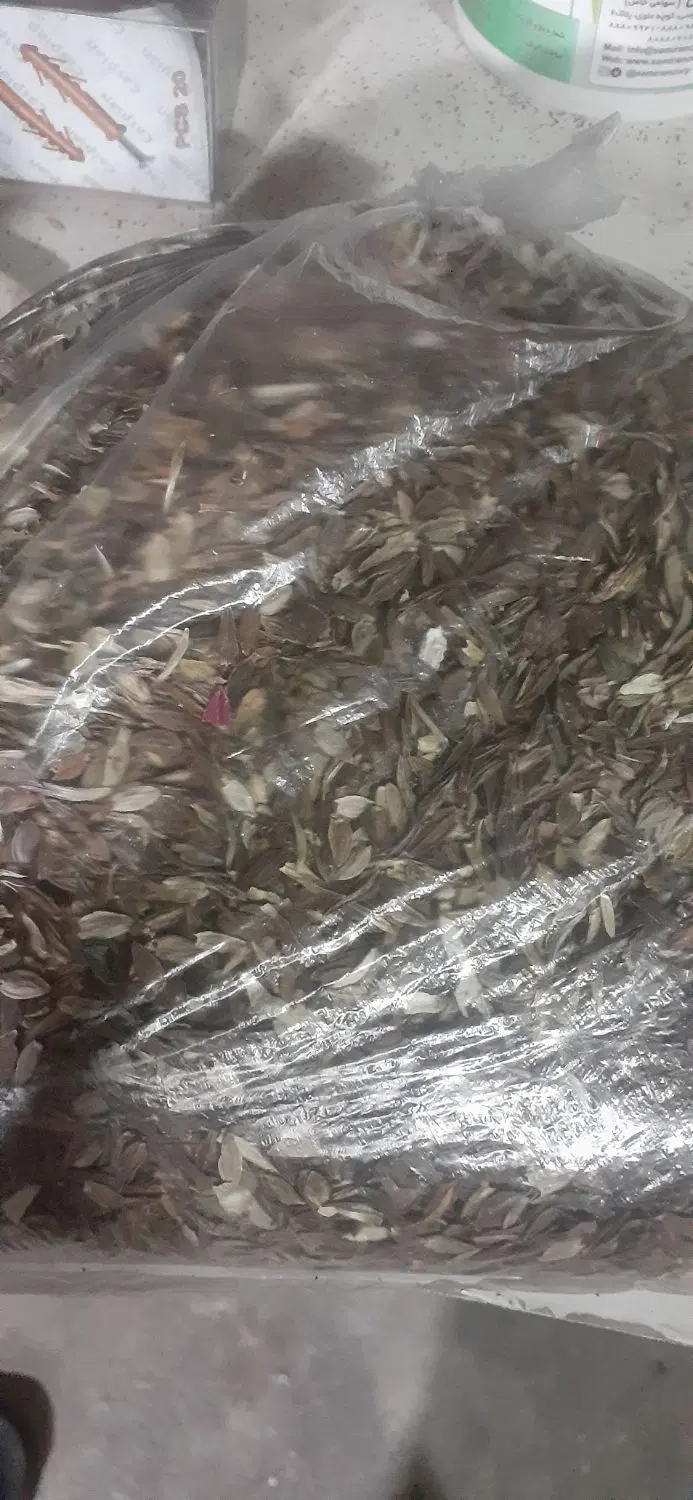 بذر گل|گل و گیاه طبیعی|دوگنبدان, |دیوار