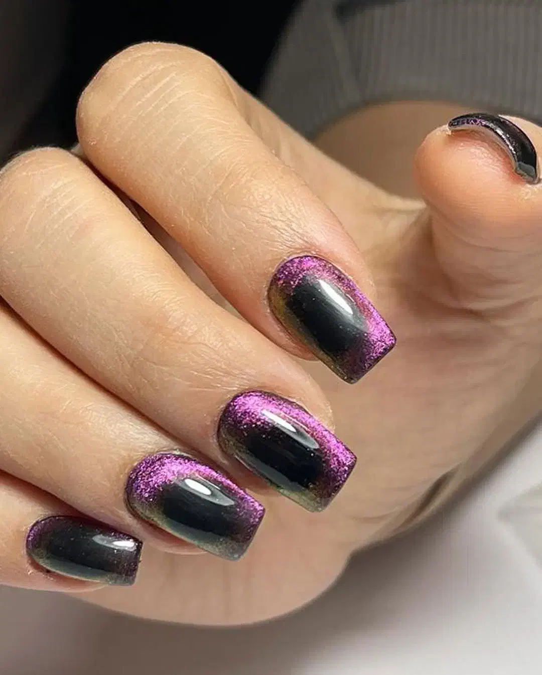 حراج|حراج|بوشهر, |دیوار