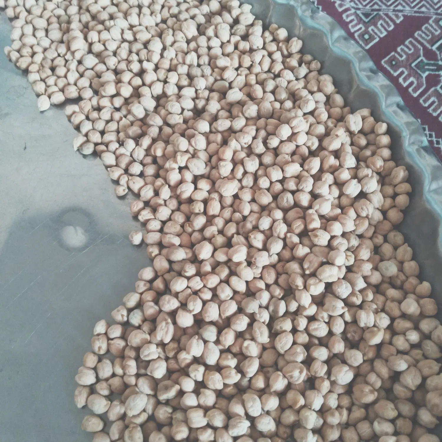نخود|خوردنی و آشامیدنی|مهاباد (آذربایجان غربی), |دیوار