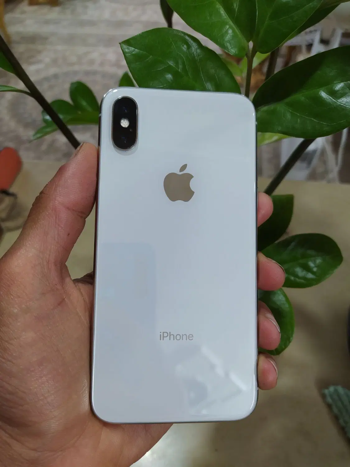 iPhone x|موبایل|شاهرود, |دیوار