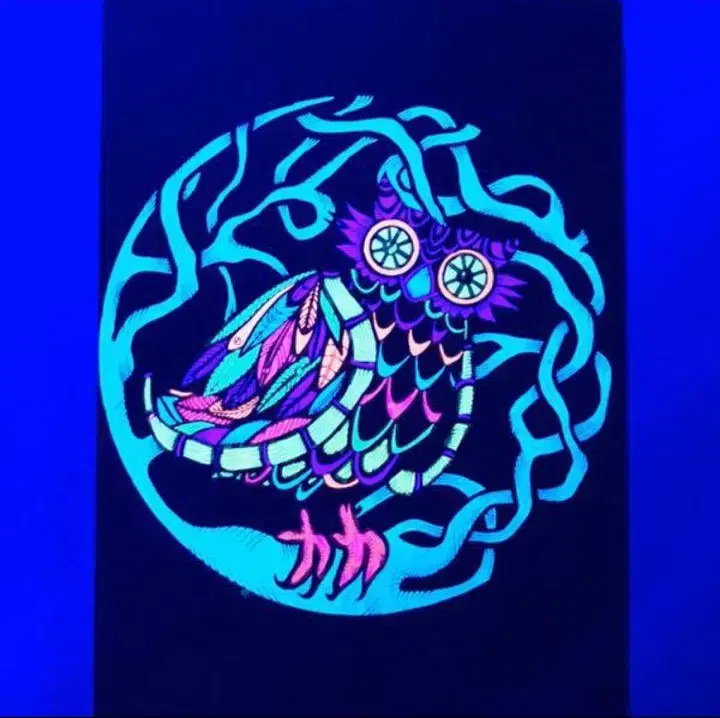 تابلو بلک لایت طرح جغد Blacklight|تابلو، نقاشی، عکس|تهران, ستارخان|دیوار