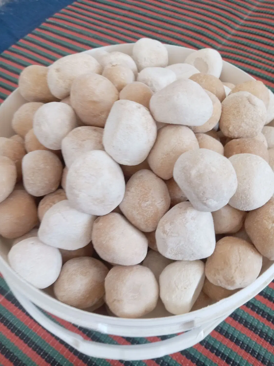 کشک|خوردنی و آشامیدنی|زرند, |دیوار
