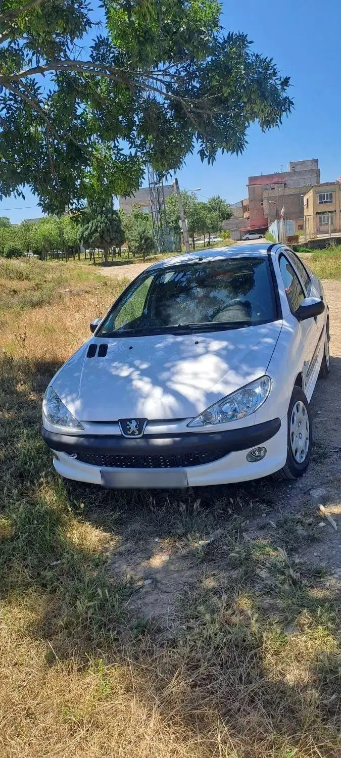 206 Sd V8|خودرو سواری و وانت|پارسآباد, |دیوار